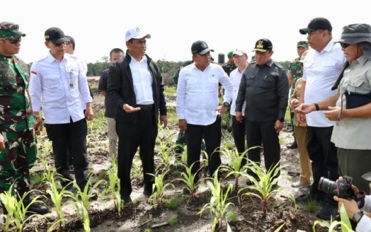 Wamenhan M. Herindra saat Tinjau Lokasi Food Estate