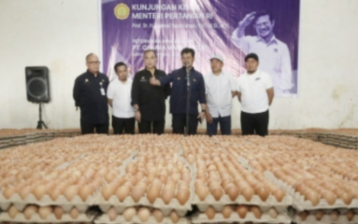 Mentan RI Syahrul Yasin Limpo saat mengunjungi PT Cahaya Mario Group di Kabupaten Sidrap. Minggu (16/4)