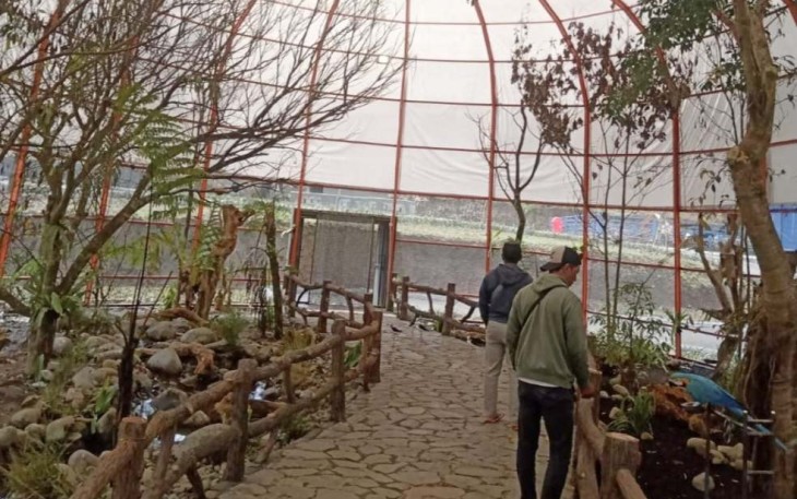 D'Las Zoo Wisata Baru di Kabupaten Purbalingga Jawa Tengah 