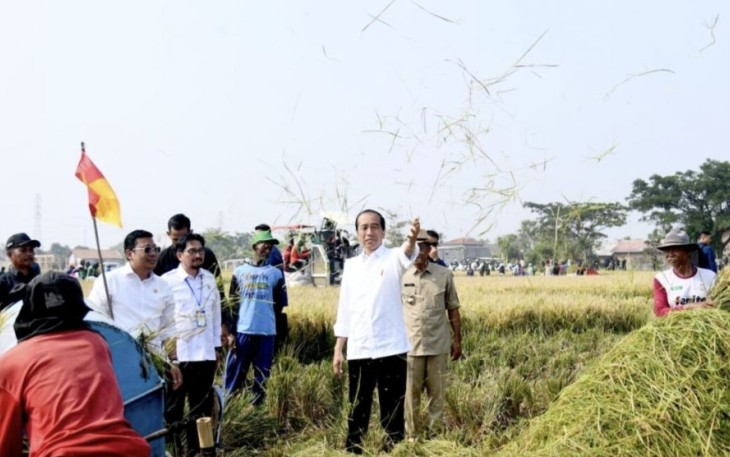 Presiden Joko Widodo mengikuti panen raya padi di Desa Ciasem Girang, Kabupaten Subang, Provinsi Jawa Barat, pada Minggu pagi, 8 Oktober 2023