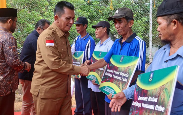 Gubernur Ansar saat Serahkan Bantuan Pertanian