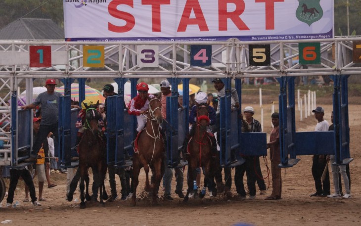 Open Race pacu kuda Kota Payakumbuh digelar di Lapangan Pacuan Kuda Kubu Gadang.