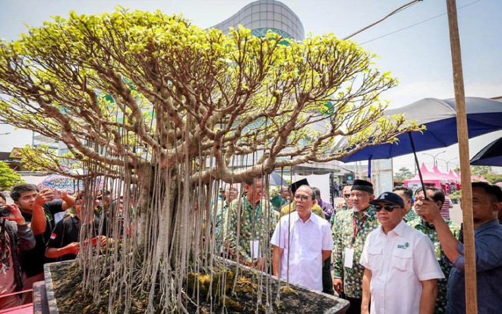 MenKopUKM Teten Masduki saat melihat bonsai, sesusai Musyawarah Nasional PPBI Ke-X Tahun 2023 yang mengusung tema ‘Mewujudkan Jati Diri Seni Bonsai Indonesia Melalui Digitalisasi PPBI’ di Sidoarjo, Jawa Timur, Sabtu (4/11).