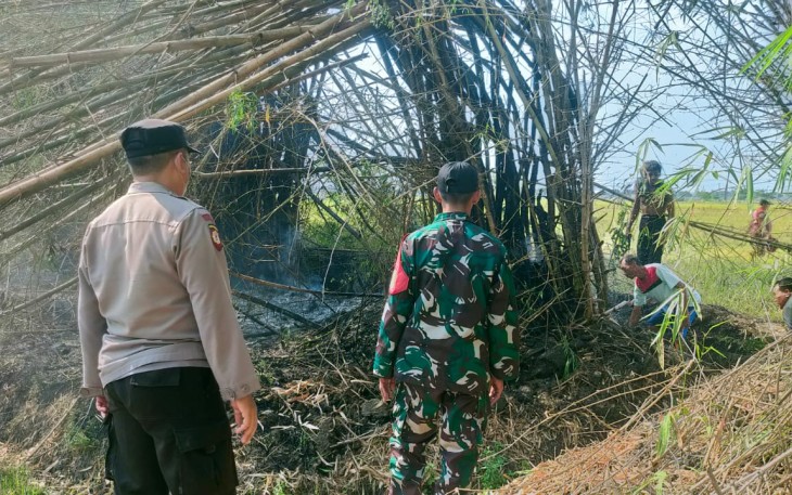 Babinsa Kodim 0803/Madiun Bantu Padamkan Kebakaran Lahan Kosong Milik Warga