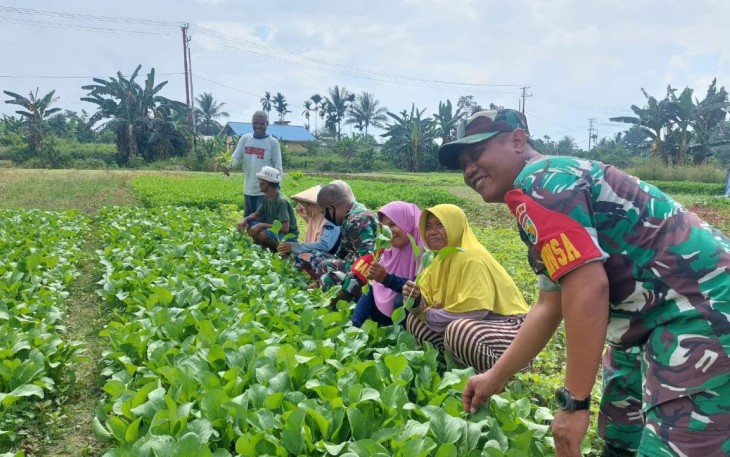 Babinsa Koramil 1710-02/Timika Membantu Petani Menggarap Lahan di Wilayah Binaan