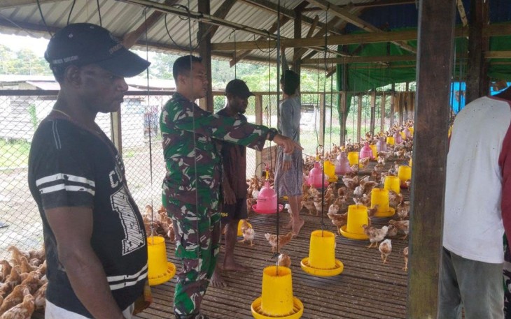 Babinsa Koramil 1710-03/KK saat Beri Penyuluhan Warga Binaan Cara Beternak Ayam Bertelur