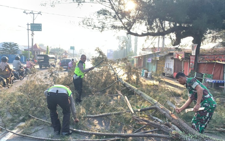Respon Cepat Satlantas Polres Kepahiang Evakuasi Pohon Tumbang
