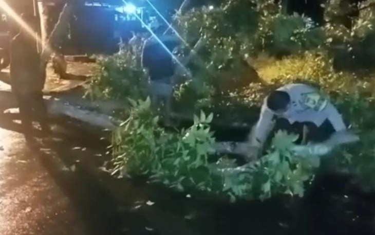 Anggota Polsek Muara Bangkahulu saat Dibantu Warga Evakuasi Pohon Tumbang