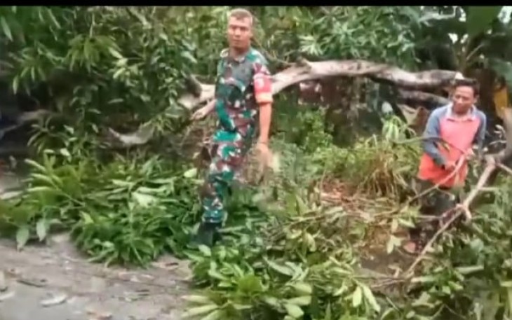Serma Maliki saat membersihkan lokasi pohon tumbang di wilayah desa binaan, Kamis (25/1)
