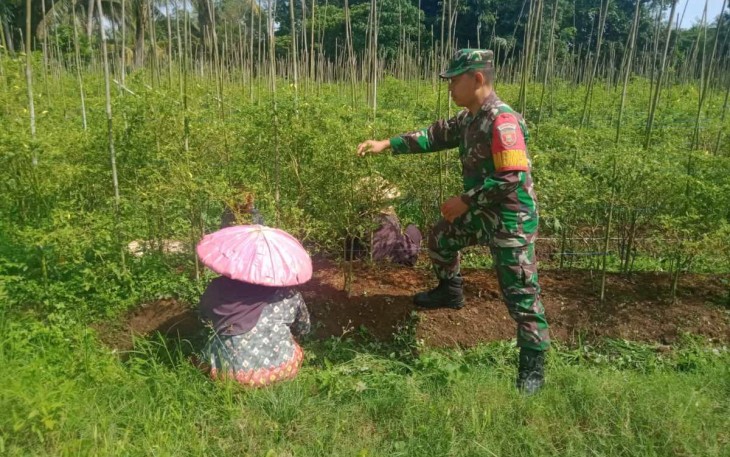 Serma Haris Fadillah saat membentuk merawat tanaman cabe warga binaan, Jum'at (23/2)