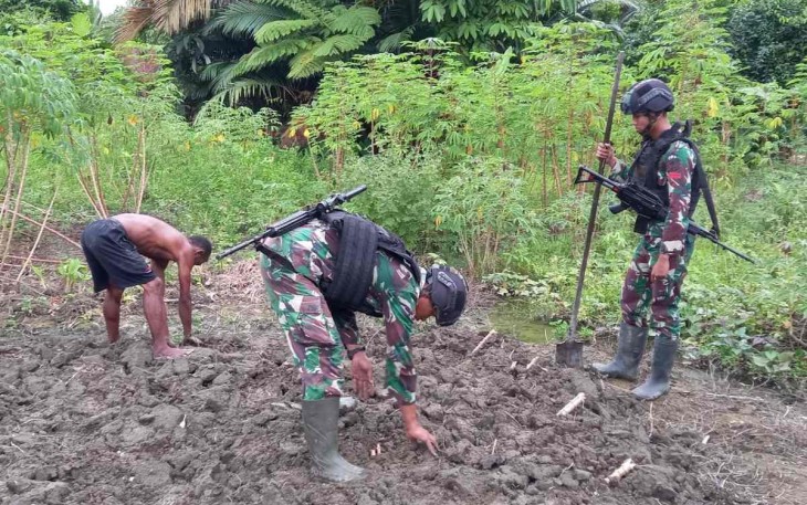 Bantu tanam singkong di lahan warga perbatasan 
