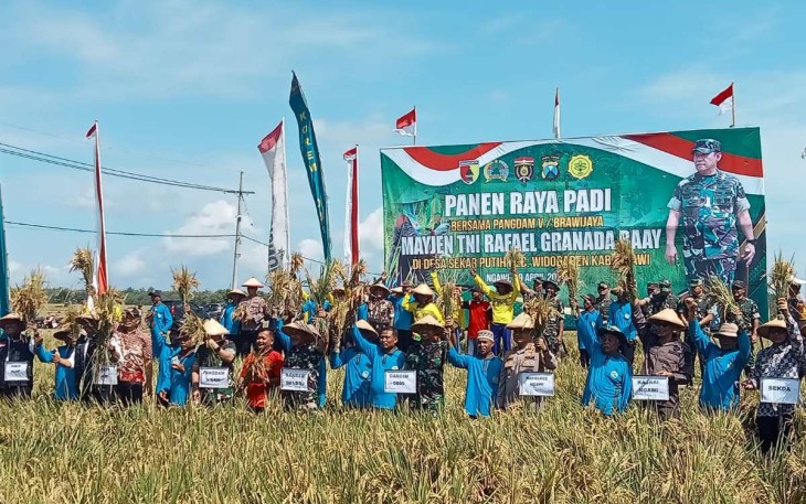 Panen raya padi di Kabupaten Ngawi