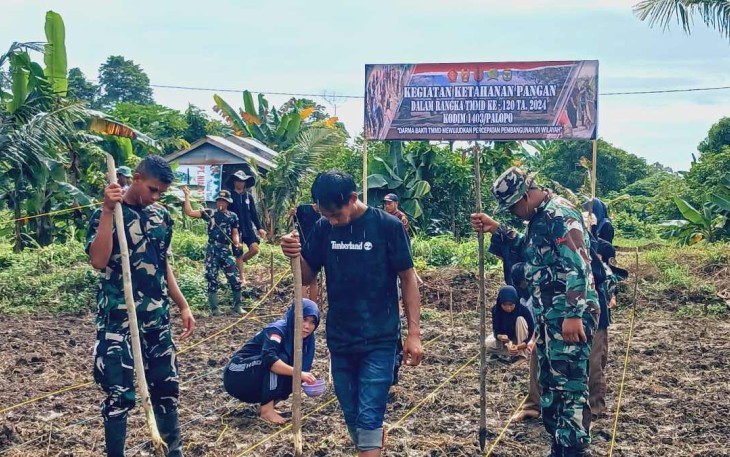 Tanam jagung dukung ketahan pangan warga desa Pammesakang 