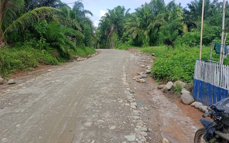 Pembangunan Jalan Usaha Tani di Lokasi TMMD sudah tuntas dibangun.
