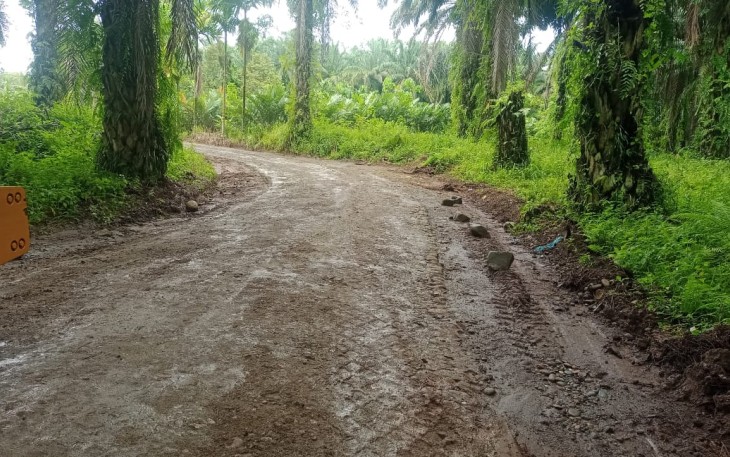 Warga senang jalan di lokasi TMMD telah dibangun.