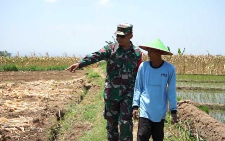 Pendampingan petani wilayah desa binaan 