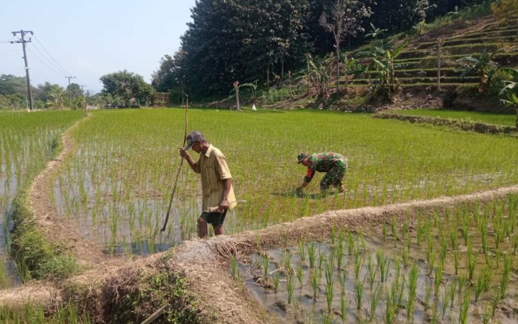 Pendampingan petani wilayah desa binaan 
