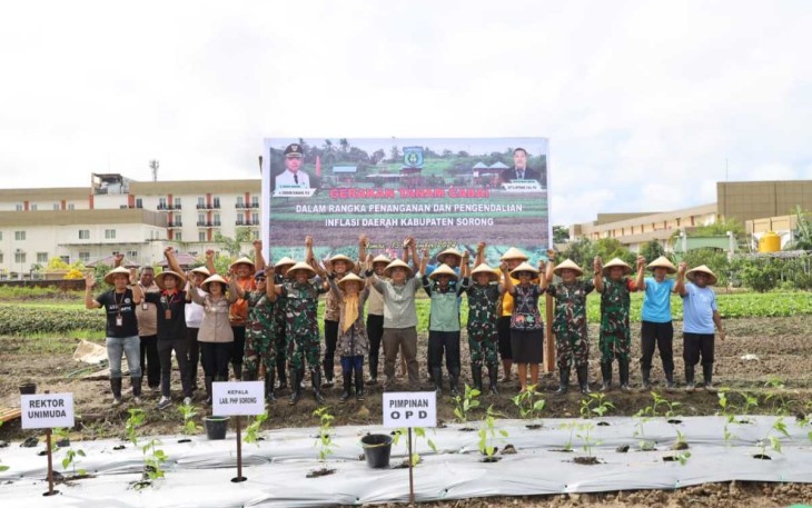 Gerakan tanam cabai Pemda Sorong