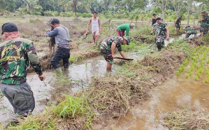 Anggota TNI AD dari Koramil 1001-04/Batumandi Kodim 1001/HSU-BLG Kodam V/MLW bersama warga saat bersihkan saluran irigasi. 