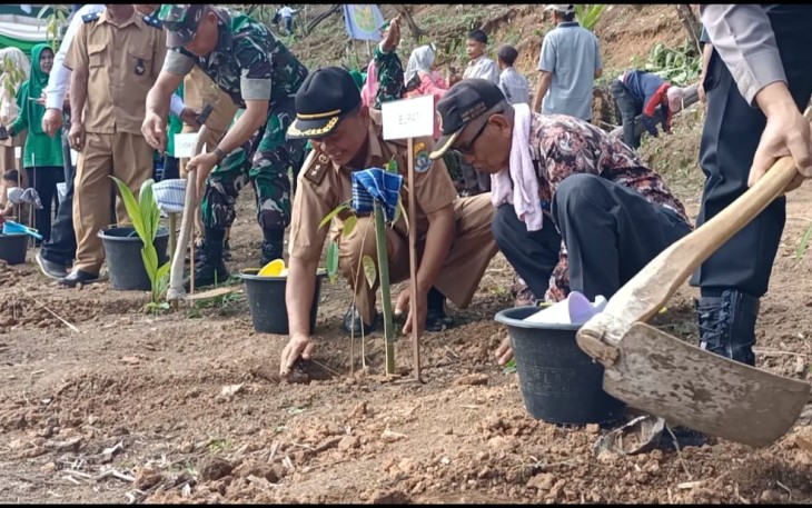 Aksi Penanaman Pohon