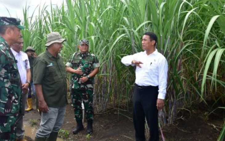Mentan Andi Arman Sulaiman saat meninjau perkebunan tebu di Distrik Tanah Miring, Papua Selatan, Rabu (17/4)