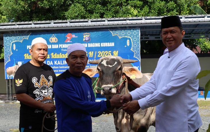 Polda Kalteng Sembelih 52 Sapi dan 12 Kambing