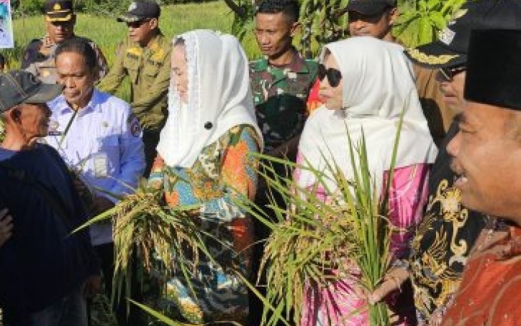 Bupati dan Wakil Bupati Natuna Panen Raya di Desa Payak Serasan Timur