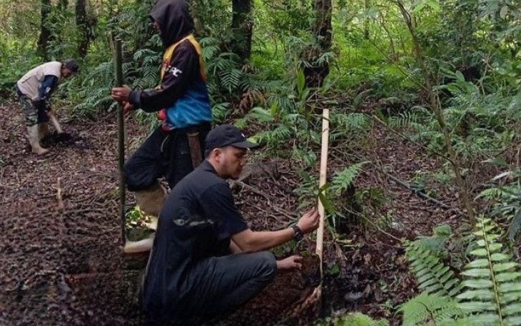 Penanaman pohon di kawasan wisata Jayagiri