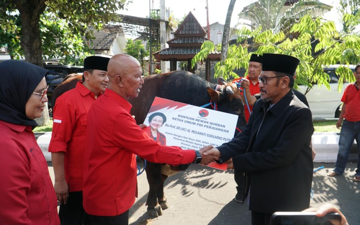 Megawati Juga Serahkan 2 Ekor Sapi Kurban ke Masjid di Blitar