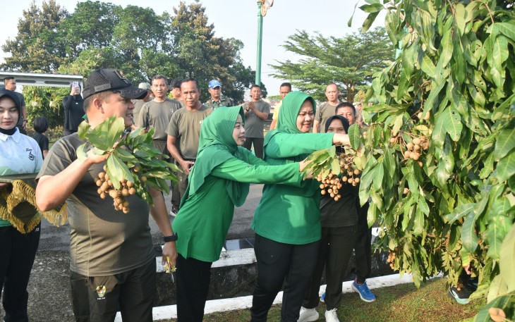 Family Fun walk diawali dengan dilaksanakannya panen perdana buah Kelengkeng yang ditanam diseputaran lapangan Makorem 071/Wijayakusuma Sokaraja, Banyumas, Jumat (13/6/2025)