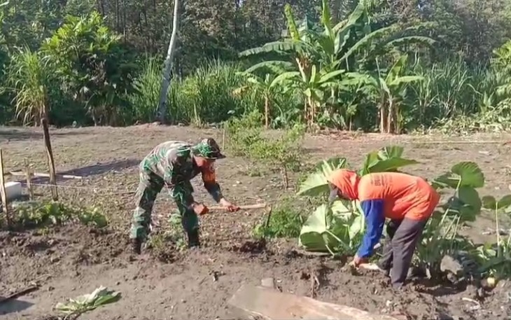 Babinsa Karanganyar Ngawi Terjun ke Lapangan