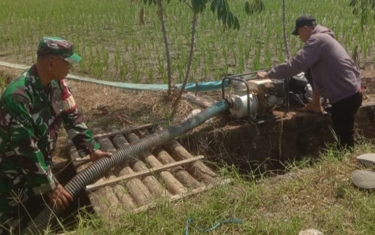 Babinsa Koramil 0803-06/Gemarang Bantu Warga Mengairi Sawah