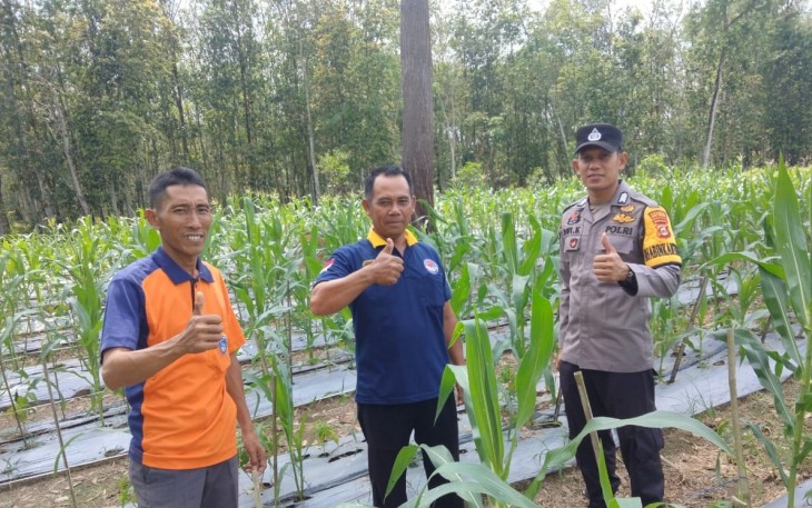 Bhabinkamtibmas Polsek Belitang III Laksanakan Pendampingan