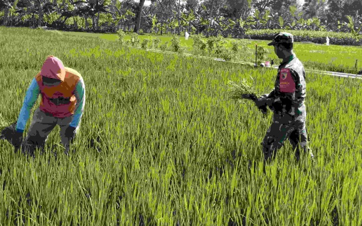 Pendampingan petani wilayah desa binaan 