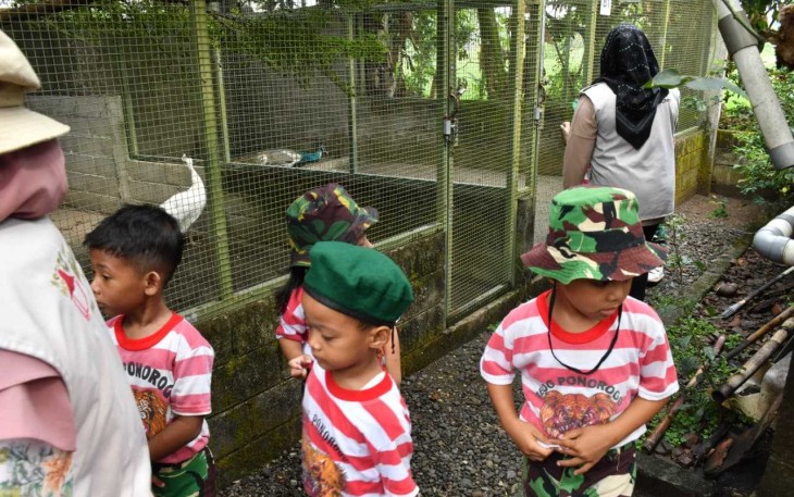 Eduwisata penakaran burung merak