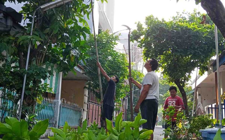Gotong royong pangkas dahan pohon di lingkungan 