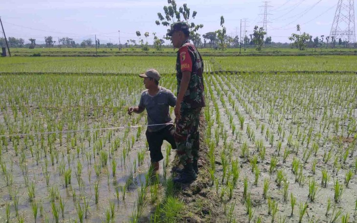 Proses Pengukuran Tanah untuk Koperasi Desa Kelurahan Merah Putih