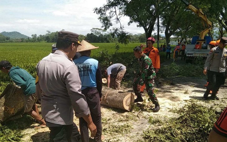 Pemotongan pohon di wilayah desa binaan 