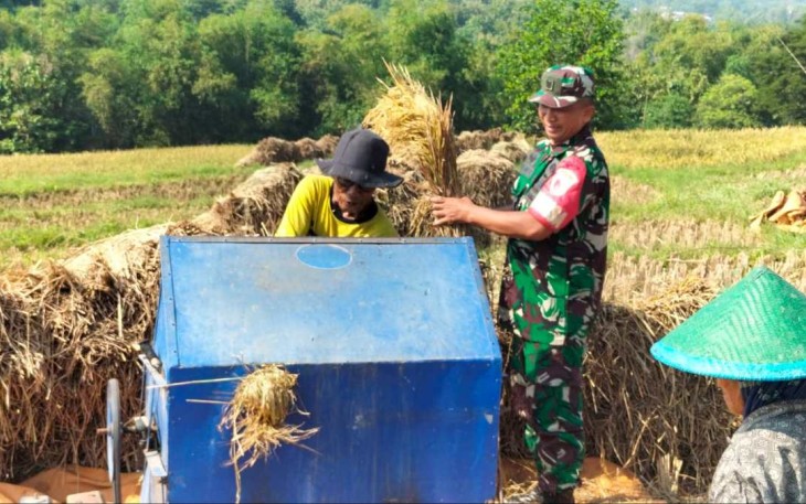 Penggilingan padi petani wilayah desa binaan 