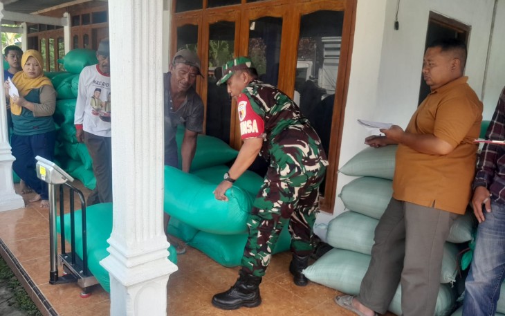 Babinsa Koramil 0803-02/Madiun Dampingi Penyerapan Gabah oleh Bulog