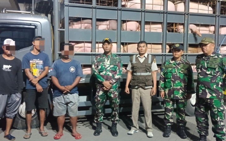 TNI AL Berhasil Gagalkan Penyelundupan 66 Ekor Tanpa Dokumen Resmi di Banyuwangi 