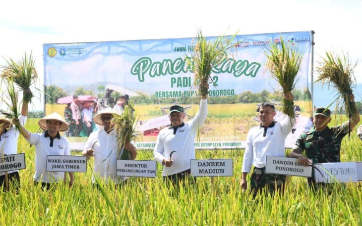 Panen raya padi di Kabupaten Ponorogo 