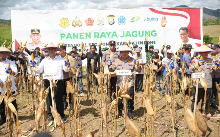 Kapolri Jenderal Listyo Sigit Prabowo panen raya jagung di Bone, Sulsel, Jum'at (16/5)