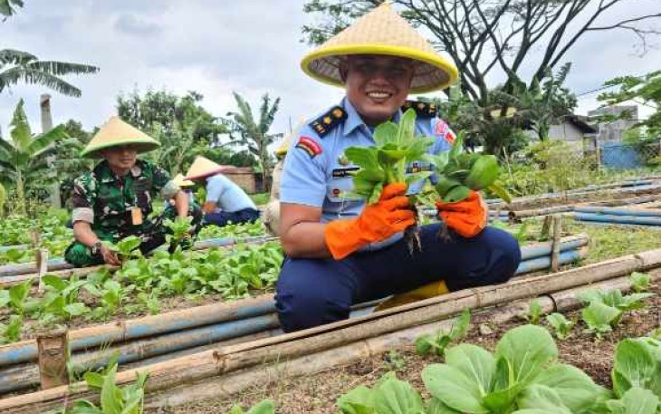 Panen sayur Lanud Husein Sastranegara Bandung 