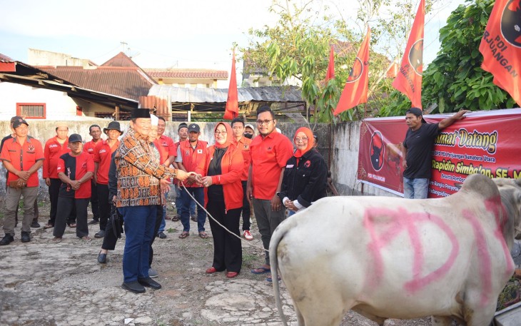 Ketua DPD PDI Perjuangan Sumatera Utara, Drs Rapidin Simbolon SE.MM merupakan tokoh politik di Sumatera Utara yang di kenal konsisten menyalurkan hewan qurban