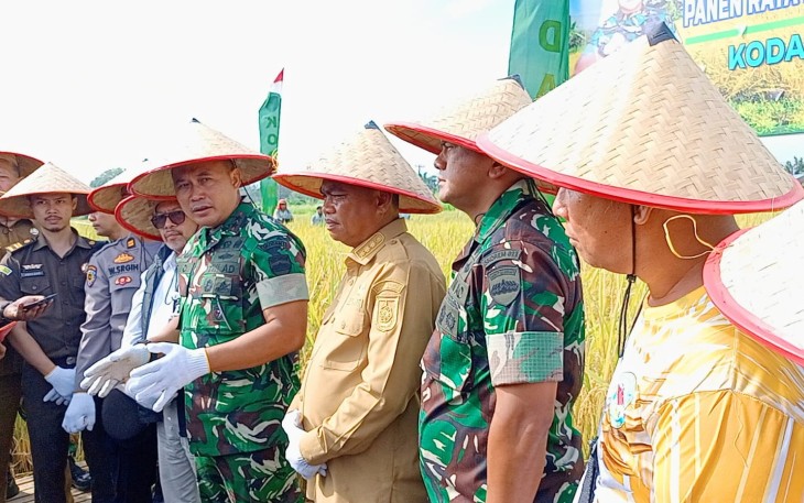 Panglima Kodam I/Bukit Barisan (Pangdam I/BB) Mayjen TNI Rio Firdianto menghadiri kegiatan Panen Raya Padi Legowo Super Sinar Mentari (LS2M) di Desa Kota Galuh, Kecamatan Perbaungan, Kabupaten Serdang Bedagai, Sumatera Utara, Senin (23/6/2025)