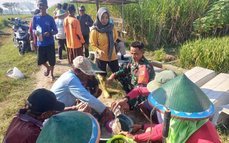 Babinsa Desa Buduran Bersama Perangkat Desa dan PPL Laksanakan Sosialisasi Pengendalian Hama