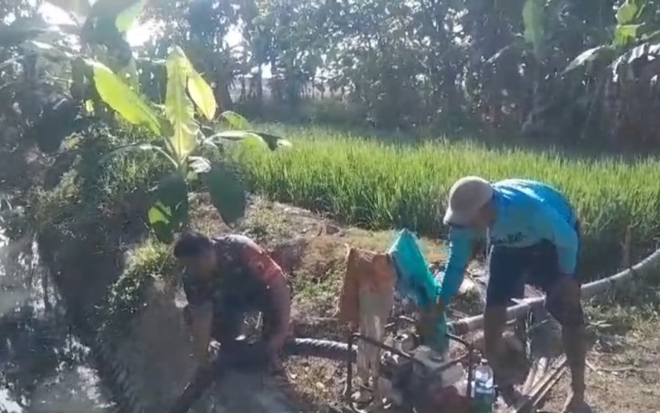 Babinsa Desa Kenongorejo Dampingi Petani Mengairi Lahan Persawahan
