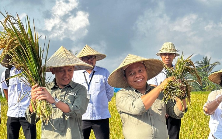 Kantor Pertanahan (Kantah) Kabupaten Gianyar, Kementerian Agraria dan Tata Ruang/Badan Pertanahan Nasional (ATR/BPN), Provinsi Bali, menyelenggarakan kegiatan Panen Padi Sehat