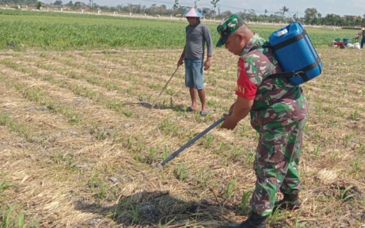 Pemupukan lahan pertanian warga binaan